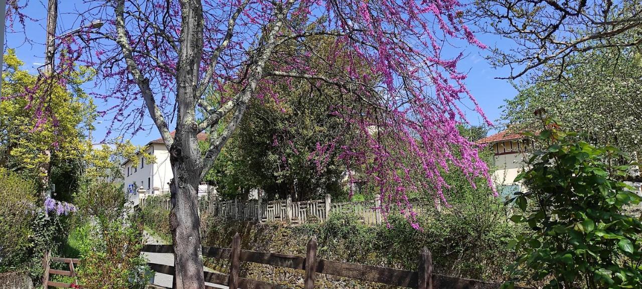 Maison Au Pied De La Montagne Aspet Экстерьер фото
