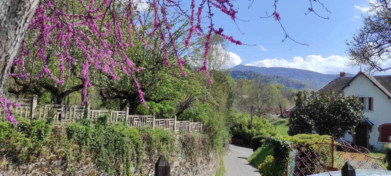 Maison Au Pied De La Montagne Aspet Экстерьер фото